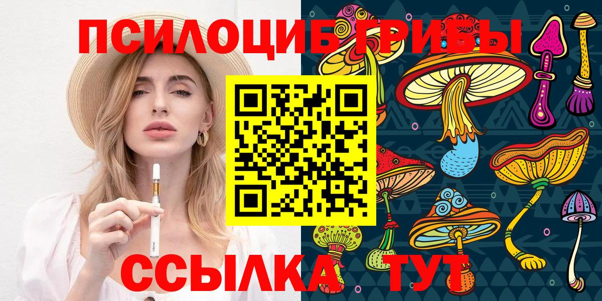 Галлюциногенные грибы мицелий  Вход с VPN  Псилоцибиновые грибы Psilocybe  Нальчик 