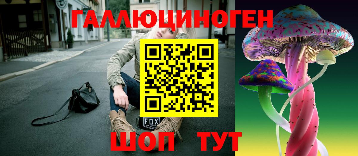 Галлюциногенные грибы Psilocybine cubensis Нальчик